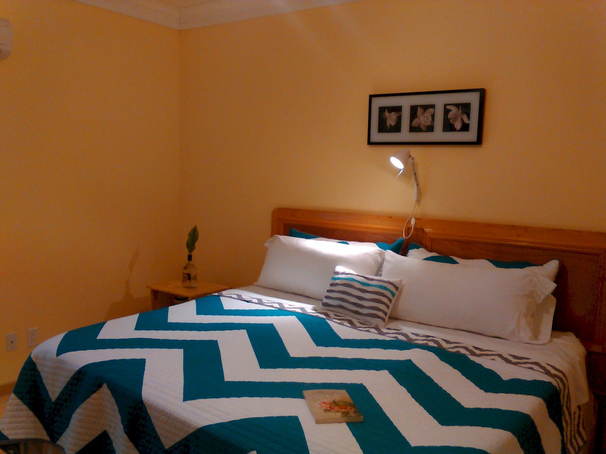 Sir Charles Guest House Palmetto Point 外观 照片