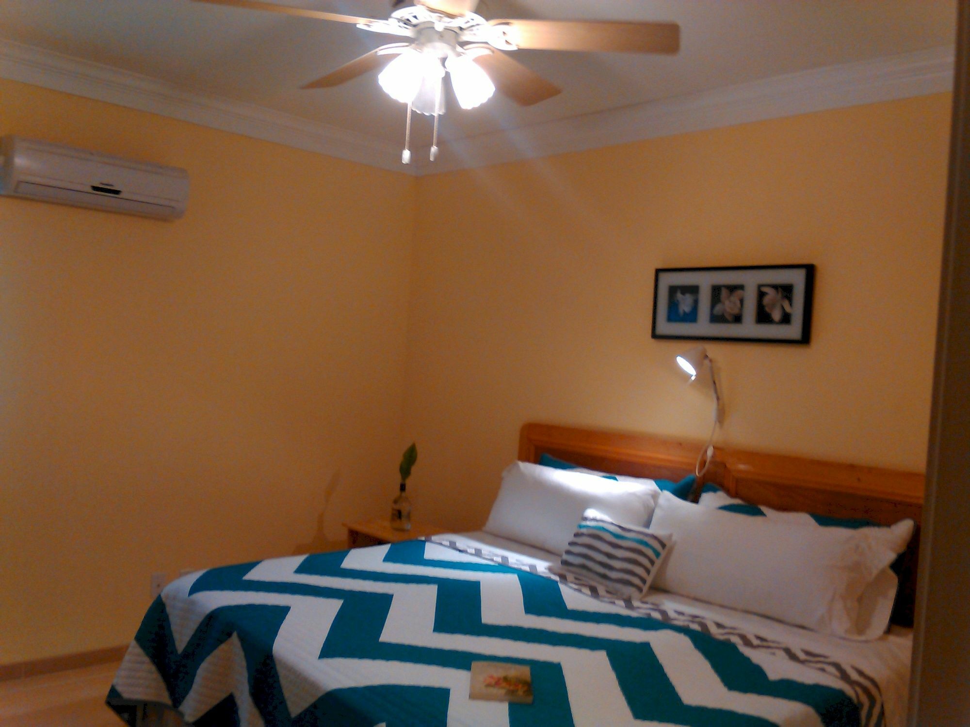 Sir Charles Guest House Palmetto Point 外观 照片