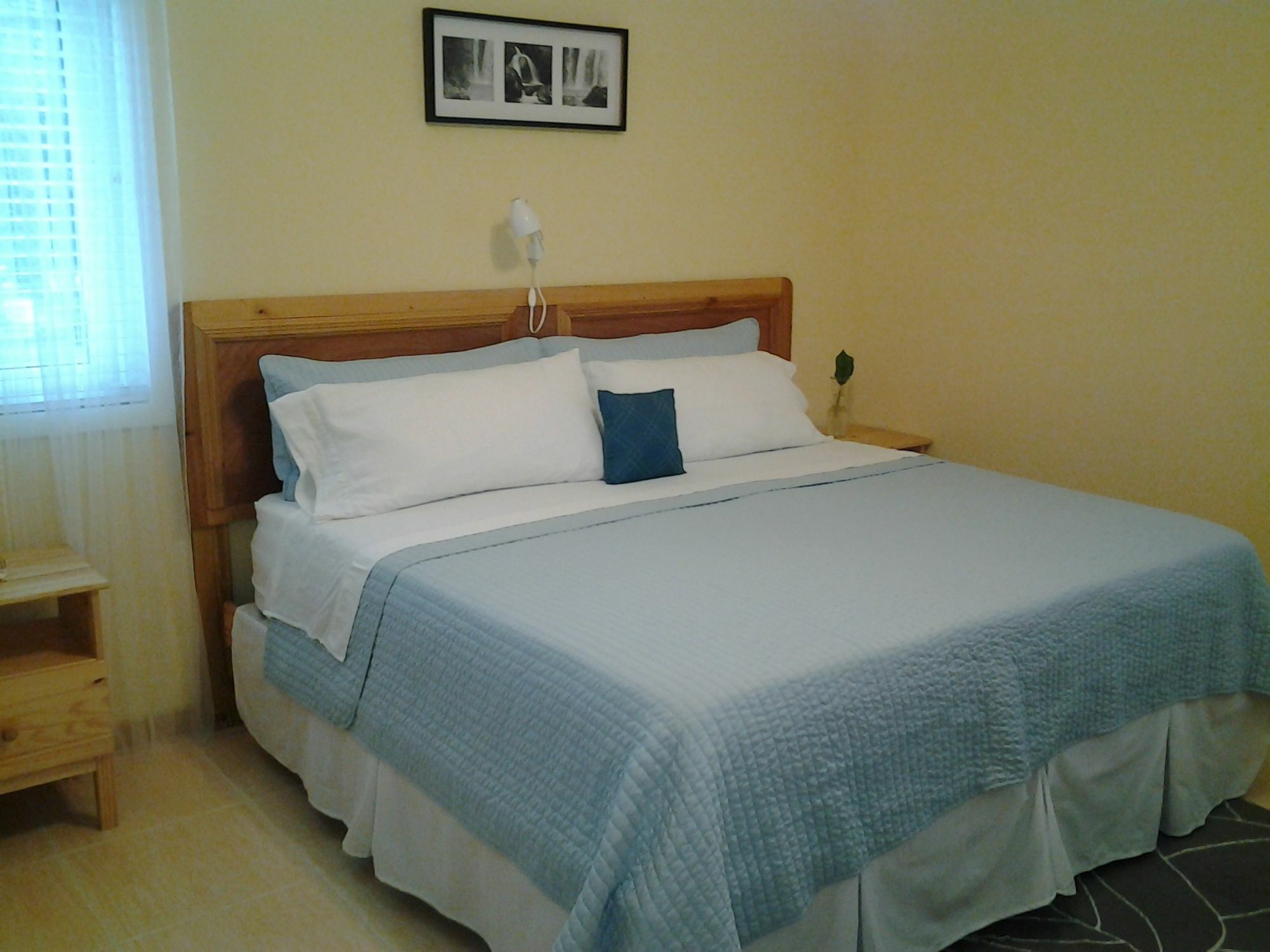 Sir Charles Guest House Palmetto Point 外观 照片